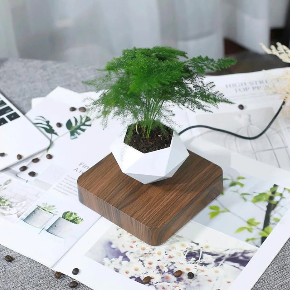 Magnetic Floating Planter - Caleto
