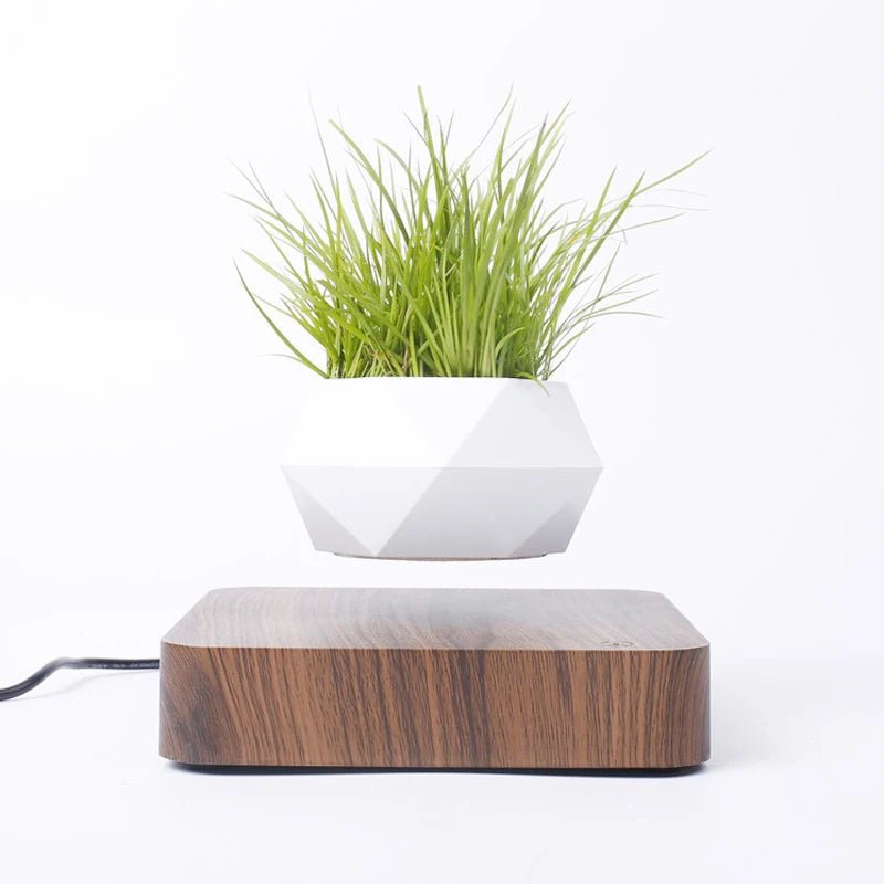 Magnetic Floating Planter - Caleto