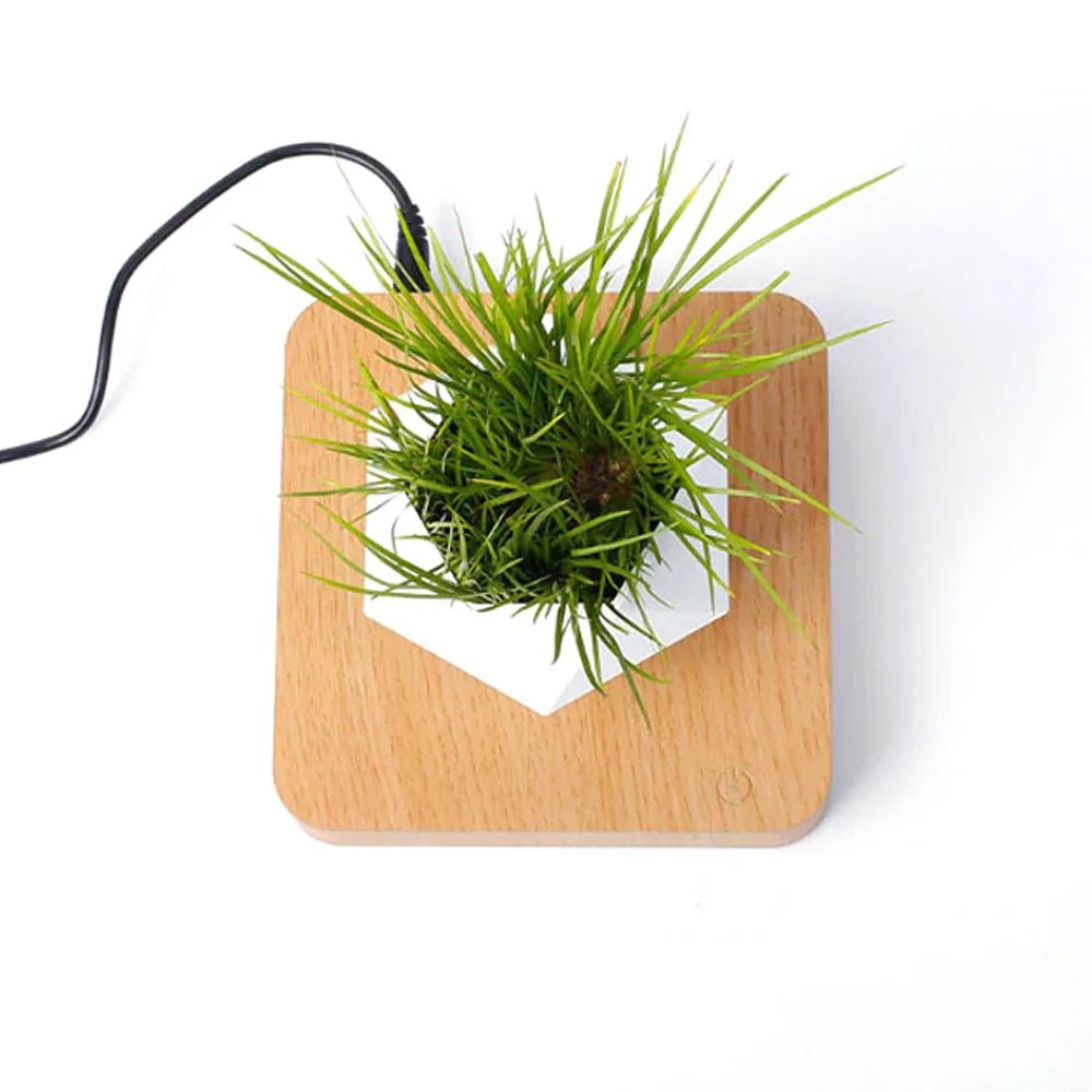Magnetic Floating Planter - Caleto