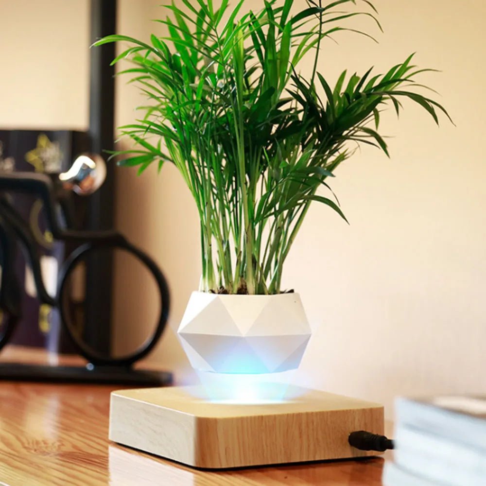 Magnetic Floating Planter - Caleto