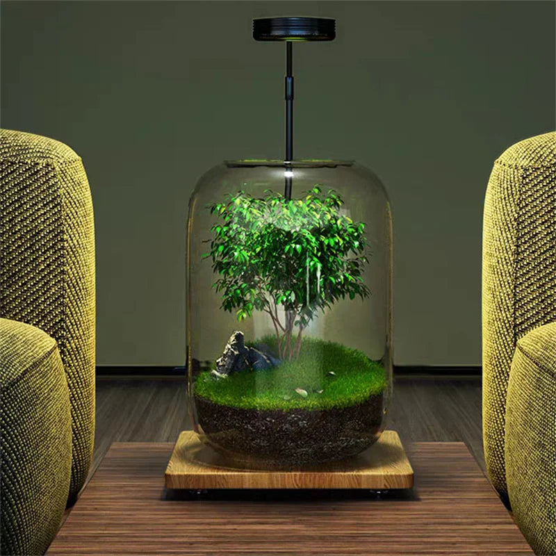 Caleto Hydroponic Vase