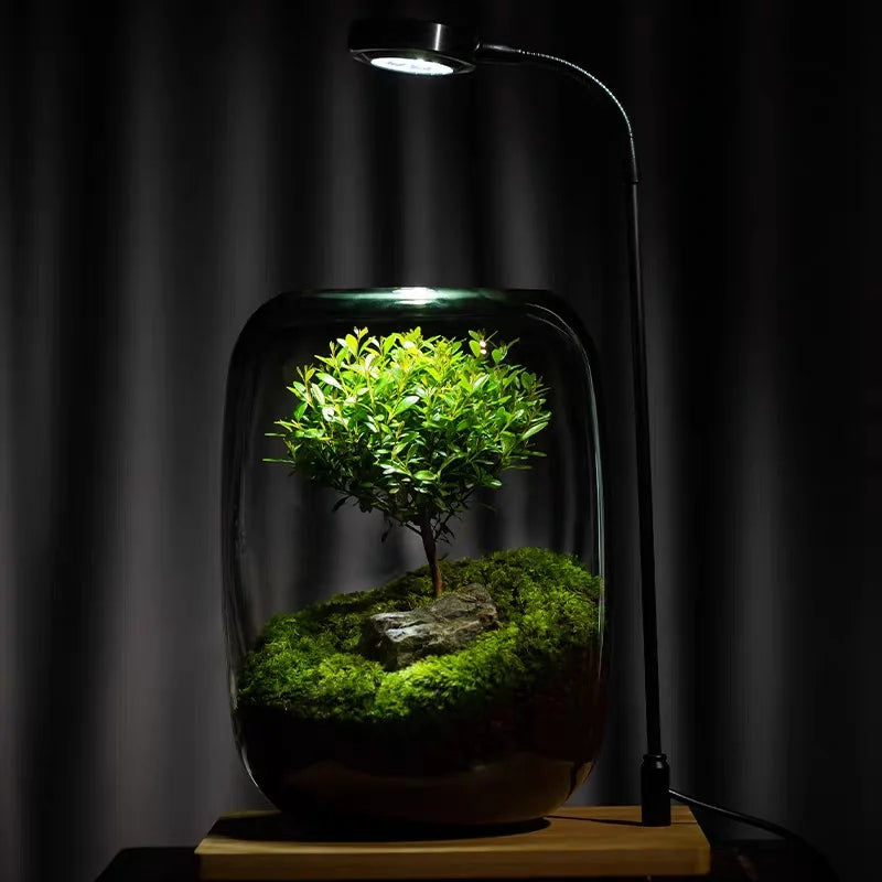 Caleto Hydroponic Vase