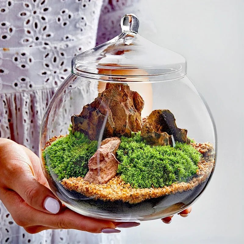 Crystal Tabletop Vase - Caleto