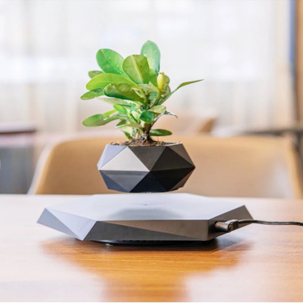 Magnetic Floating Planter - Caleto