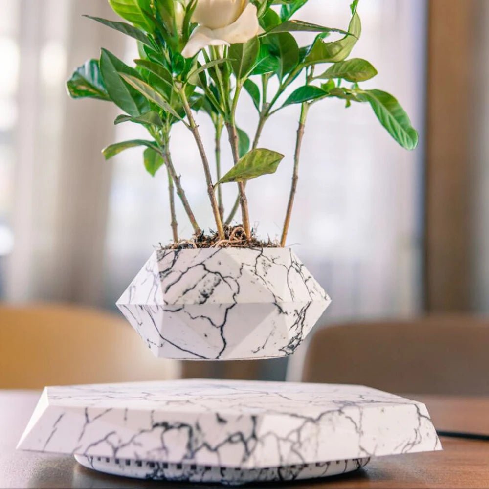 Magnetic Floating Planter - Caleto