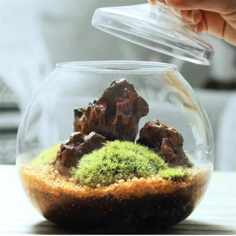 Crystal Tabletop Vase - Caleto