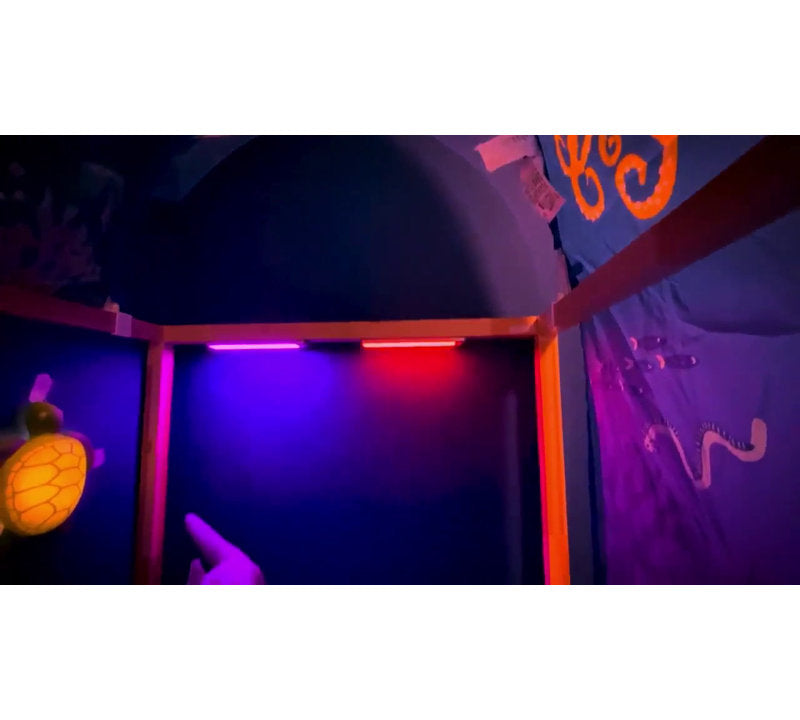 23