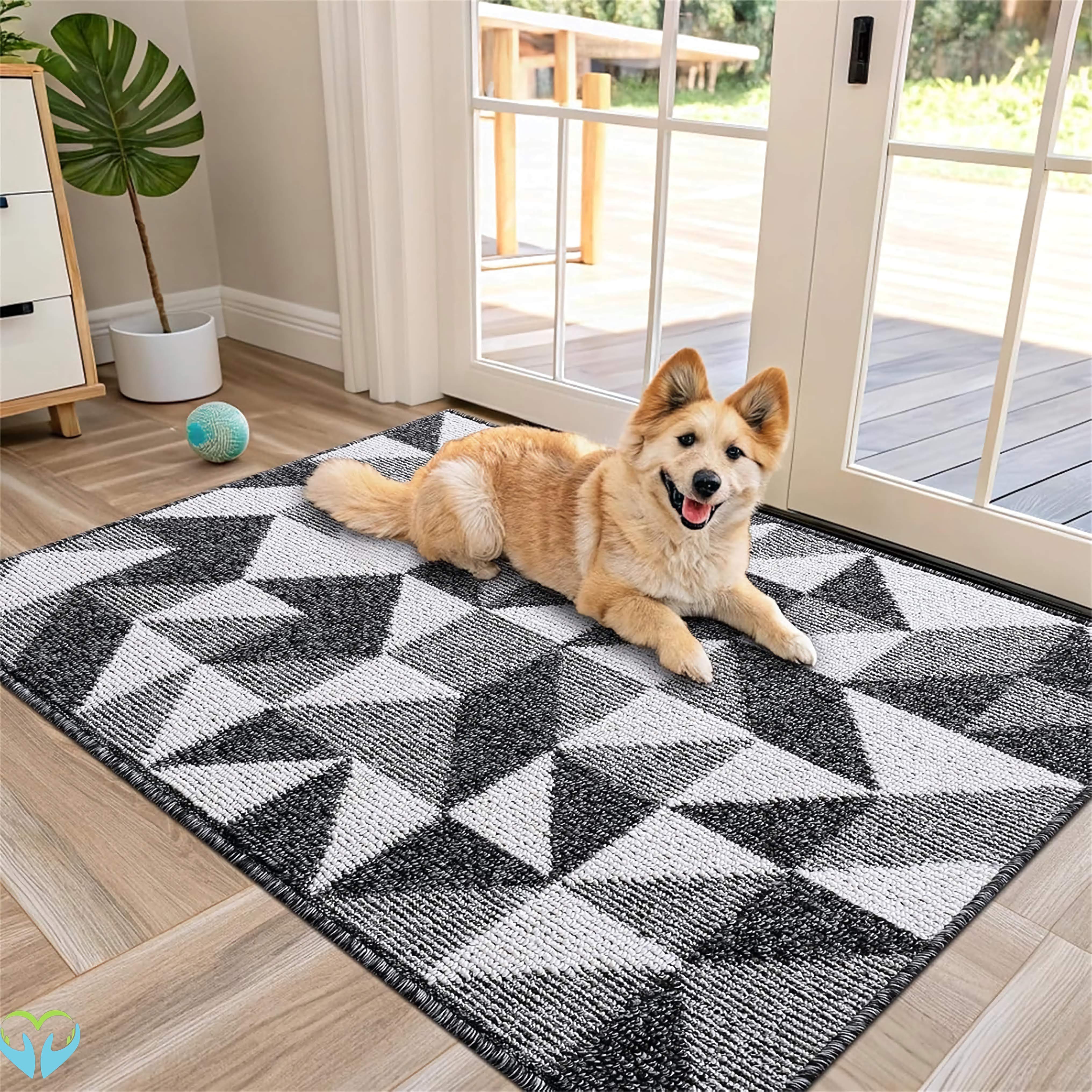2 pack-Door Mat Indoor